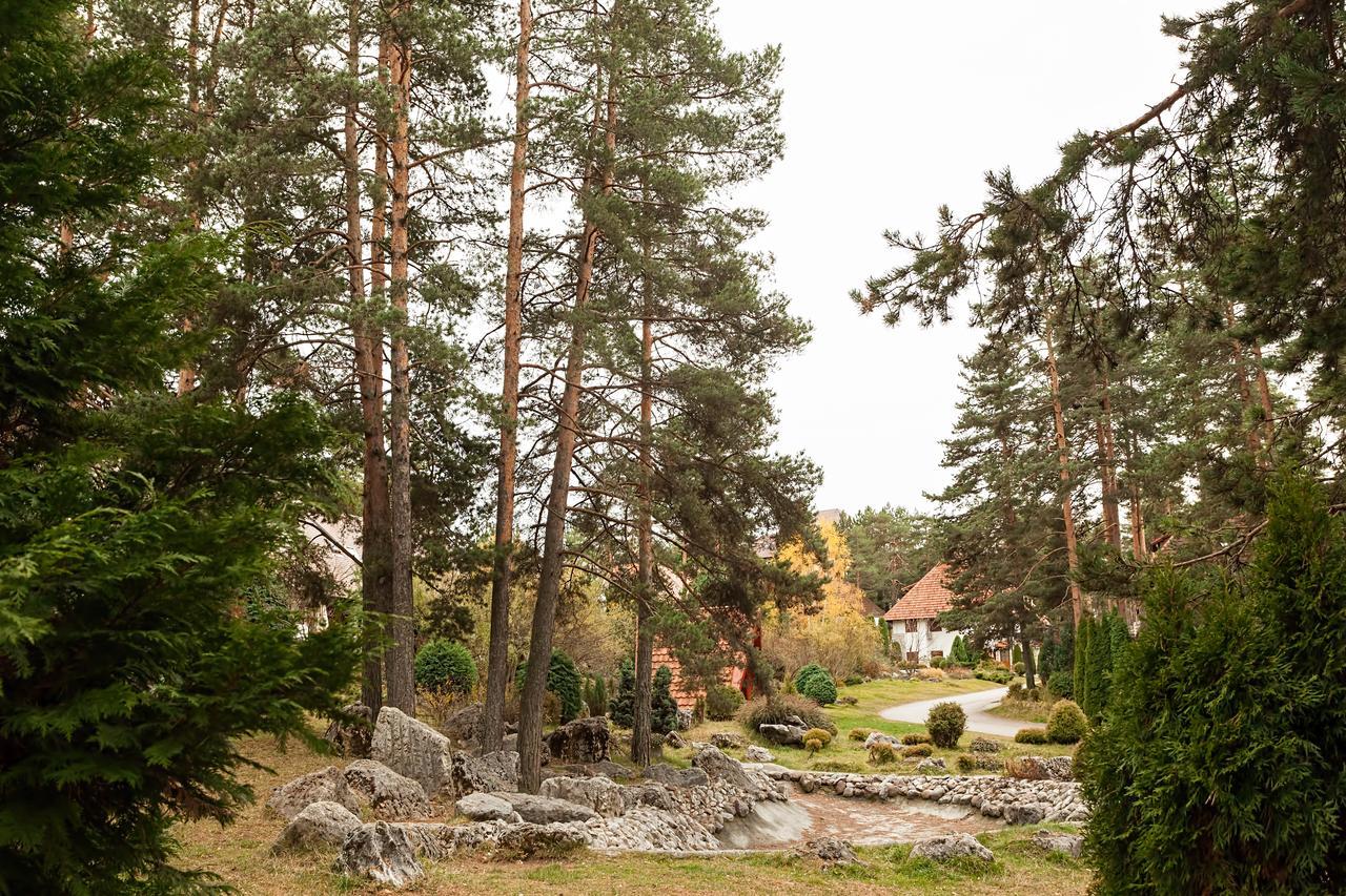 Goldpine Apartments Zlatibor Ngoại thất bức ảnh